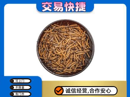 慈溪市高价回收散虫草